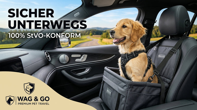 § 23 StVO: Hund im Auto richtig sichern – Pflichten, Bußgelder & lebensrettende Schutzmaßnahmen